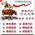 发酵饲料，厂家供货，大量供应，长期有货，欢迎咨询