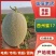 西州蜜瓜新疆哈密瓜全国直发，量大从优，可视频看货