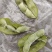 沈鲜三号毛豆，精品棵棵饱满，无差果