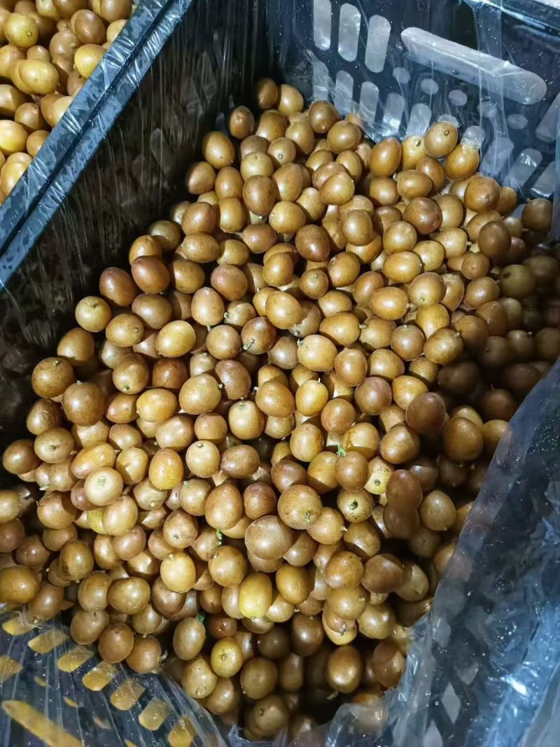 黄皮果