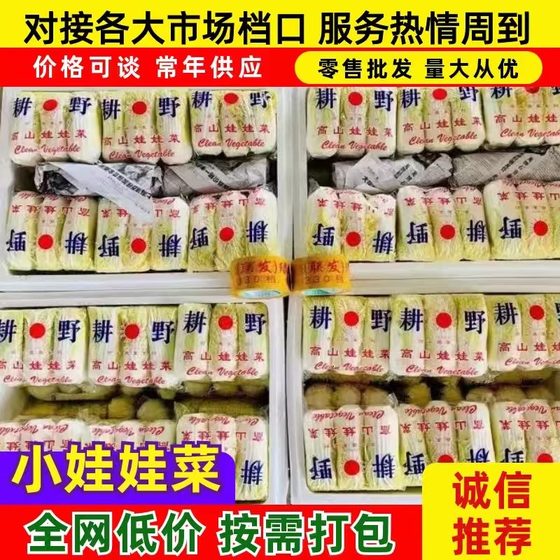 河南商丘小娃娃菜对接各大市场档口超市价格可谈常年供