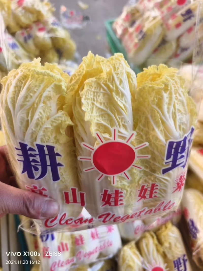 河南商丘小娃娃菜对接各大市场档口超市价格可谈常年供