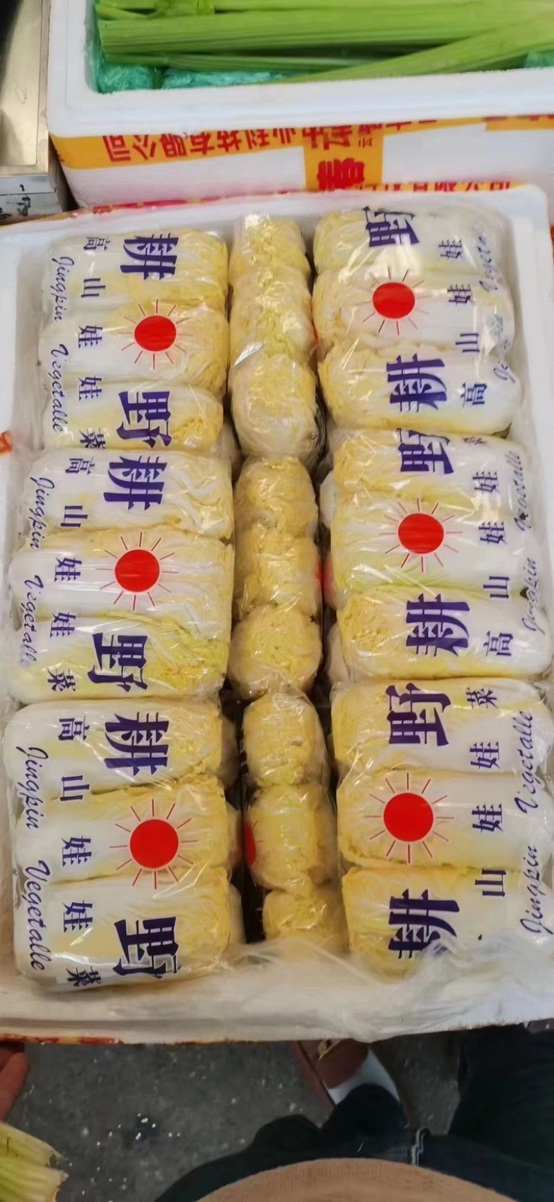 河南商丘小娃娃菜对接各大市场档口超市价格可谈常年供