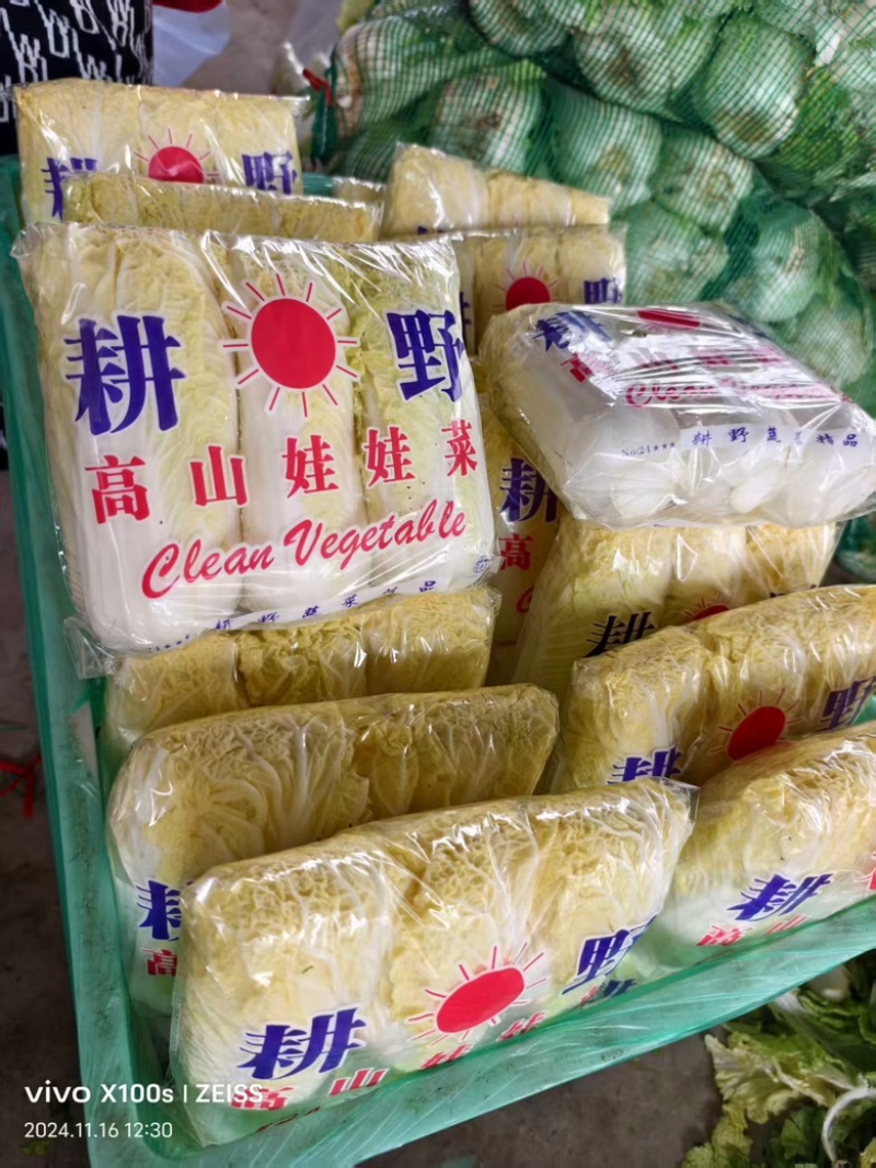 河南商丘小娃娃菜对接各大市场档口超市价格可谈常年供