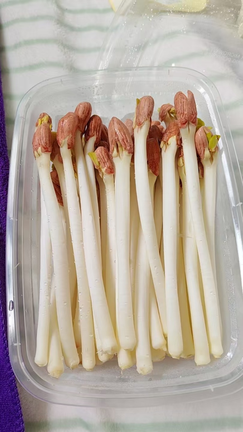 新鲜花生芽脆嫩凉拌火锅鲜芽苗菜，就近发货