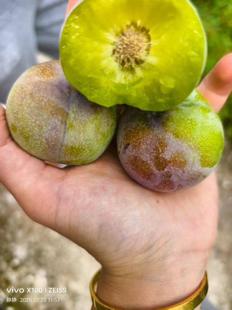 半边红李子四川李子，大量现货供应，规格齐全，电联可议价