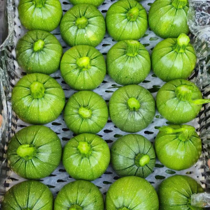 西葫芦
