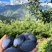 蓝密西梅产地一手货源，规格齐全，对接电商市场批发商