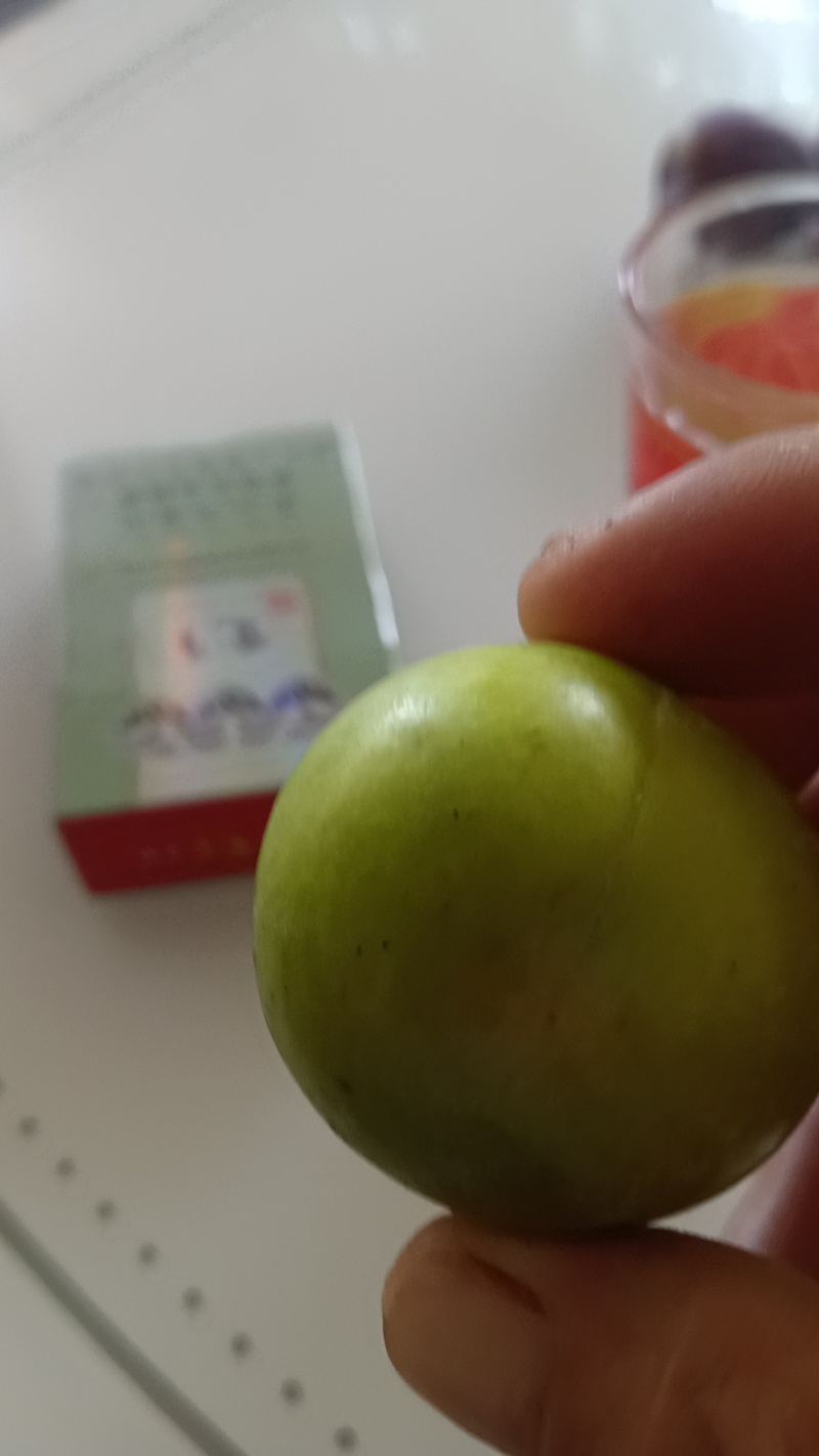 青脆李