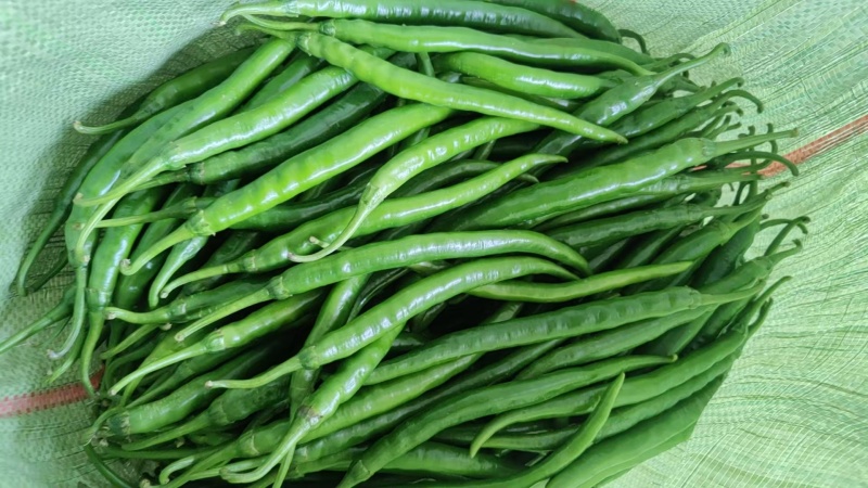 自种自销，通货，精品二荆条，需要老板，电话洽谈合作。