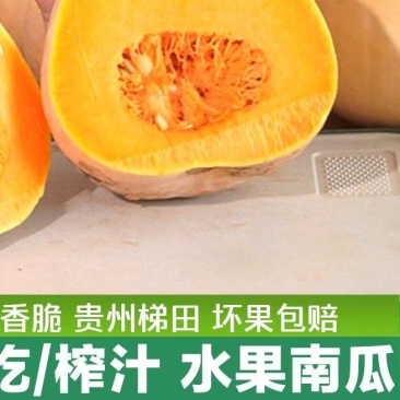 水果南瓜。