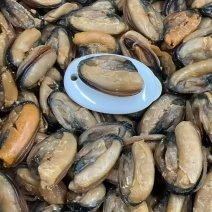 足干青口贝青口贝干度好颜色靓没有破损规格齐全