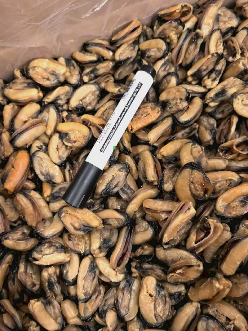 足干青口贝青口贝干度好颜色靓没有破损规格齐全