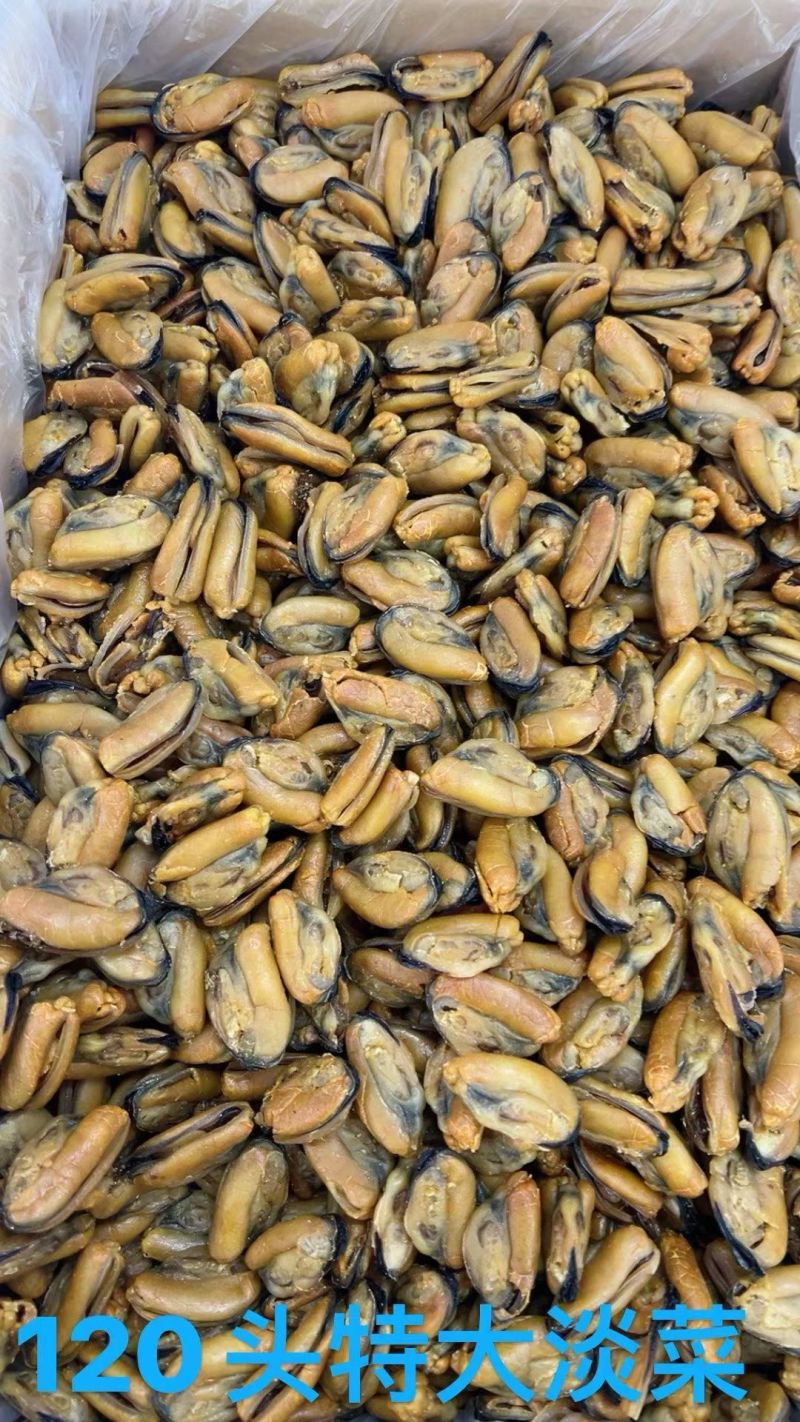 足干青口贝青口贝干度好颜色靓没有破损规格齐全