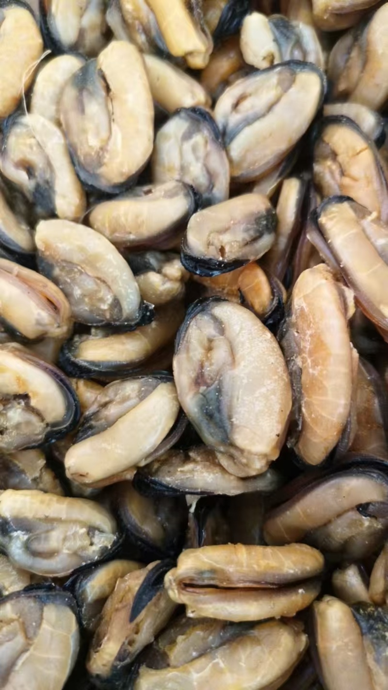 足干青口贝青口贝干度好颜色靓没有破损规格齐全