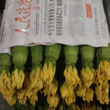 鲜花丝瓜
