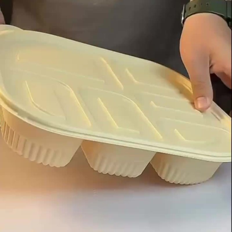 玉米淀粉一次性可降解外卖专用商用餐盒环保多格加热加厚打包