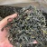 【广东鸭屎香口粮茶】凤凰单丛鸭屎香浓香型口粮茶包邮