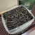 【广东鸭屎香口粮茶】凤凰单丛鸭屎香浓香型口粮茶包邮