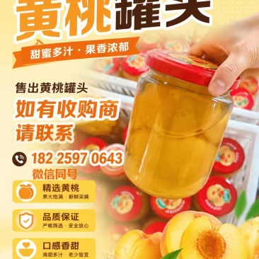 黄桃罐头