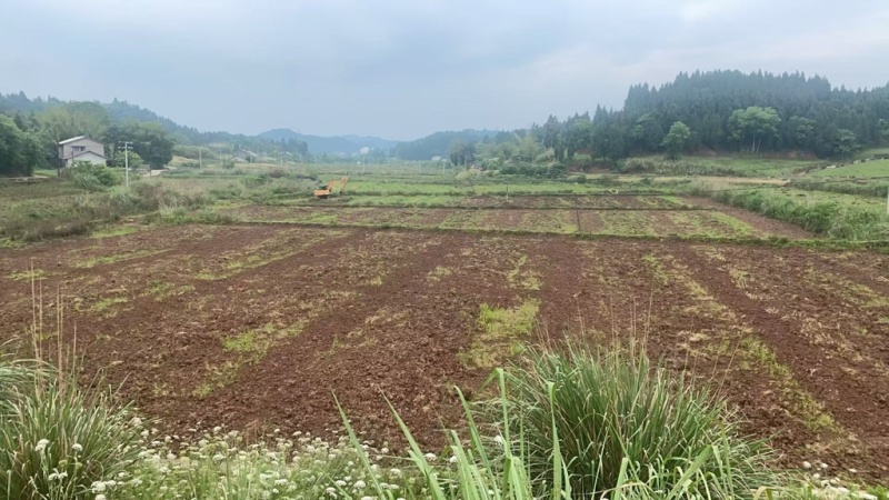 土地招租，交通便利，荒地免租