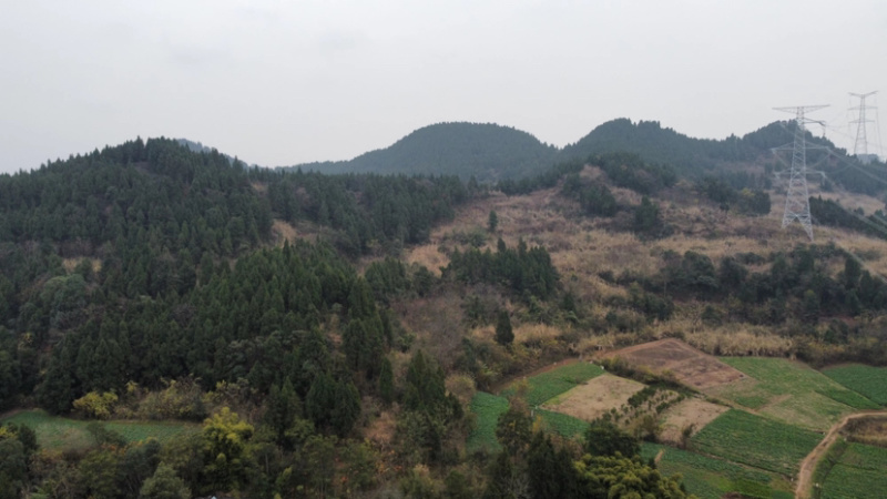 土地招租，交通便利，荒地免租