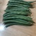 江苏青刀豆芸豆产地四季豆源头产地种植基地欢迎来电