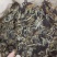 福鼎老白茶白牡丹茶饼350克/饼口感甘甜醇厚包忧