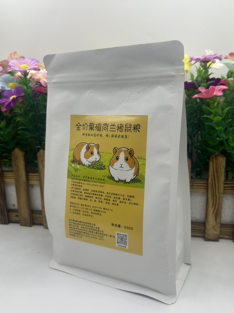 荷兰猪养殖饲料优质提莫西草营养高