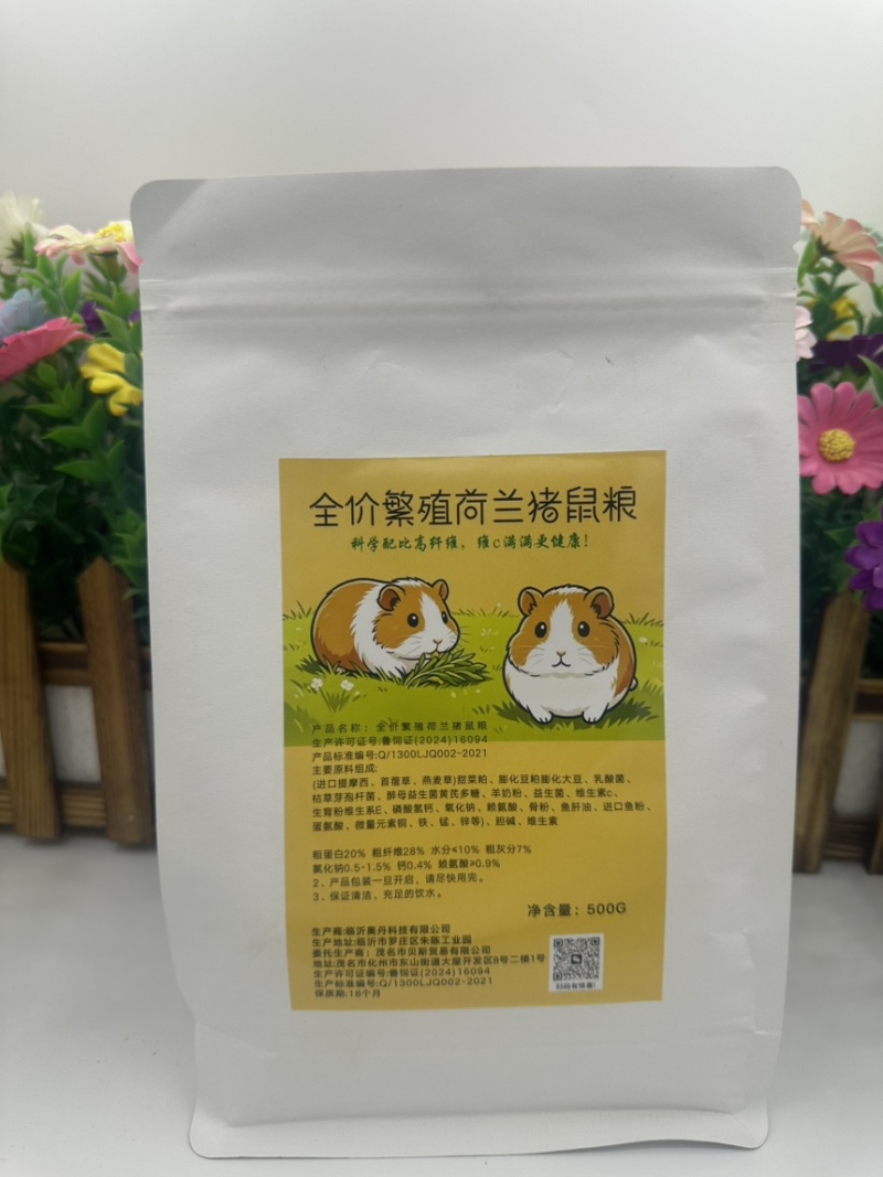 荷兰猪养殖饲料优质提莫西草营养高