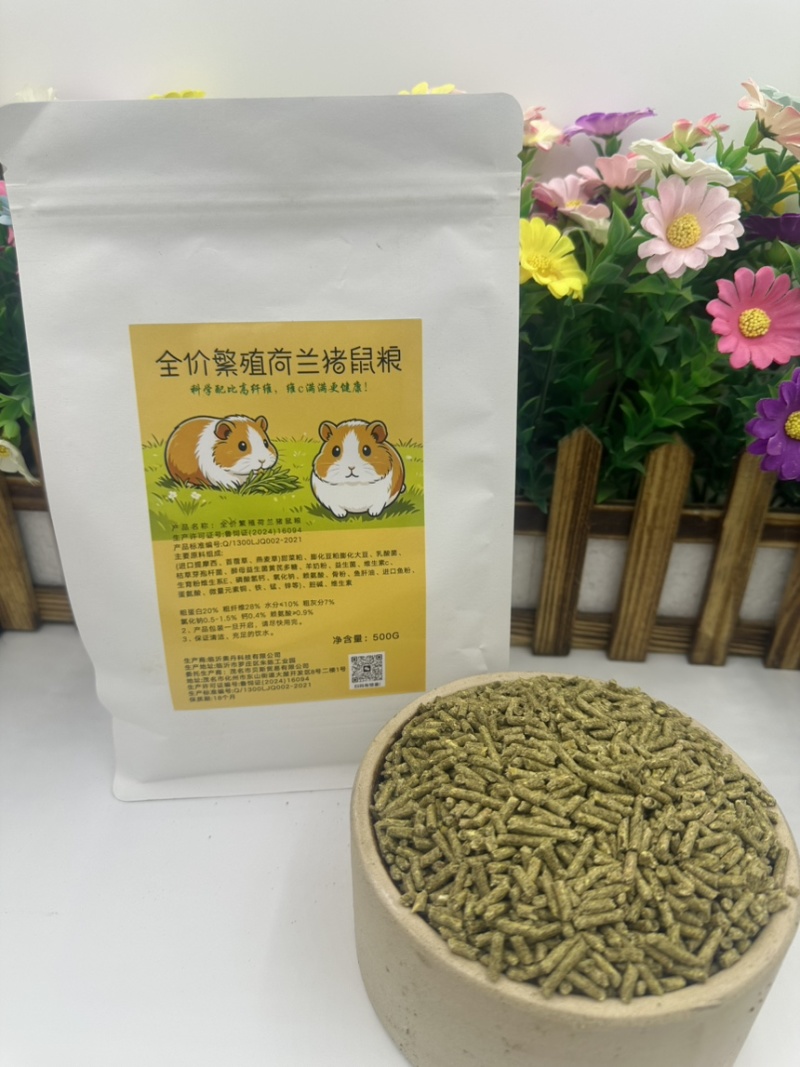 荷兰猪养殖饲料优质提莫西草营养高