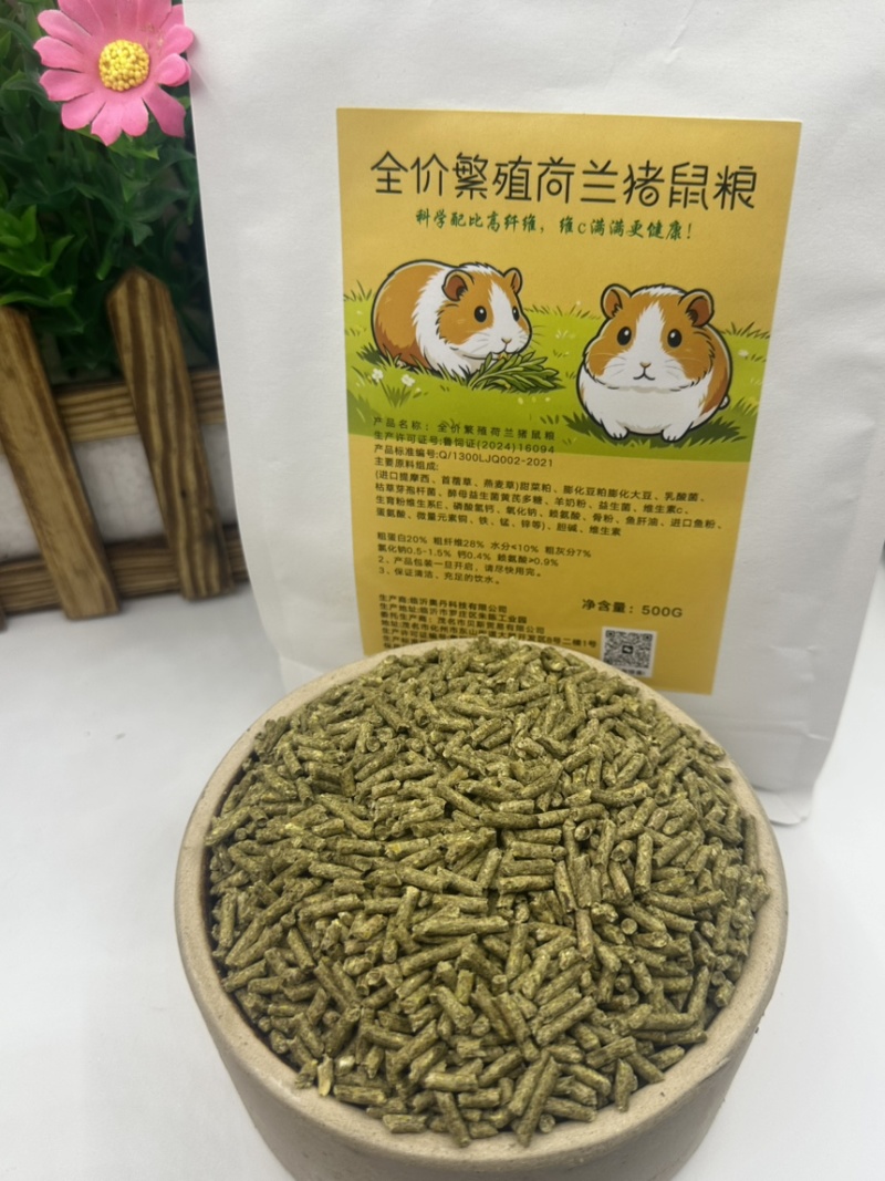 荷兰猪养殖饲料优质提莫西草营养高