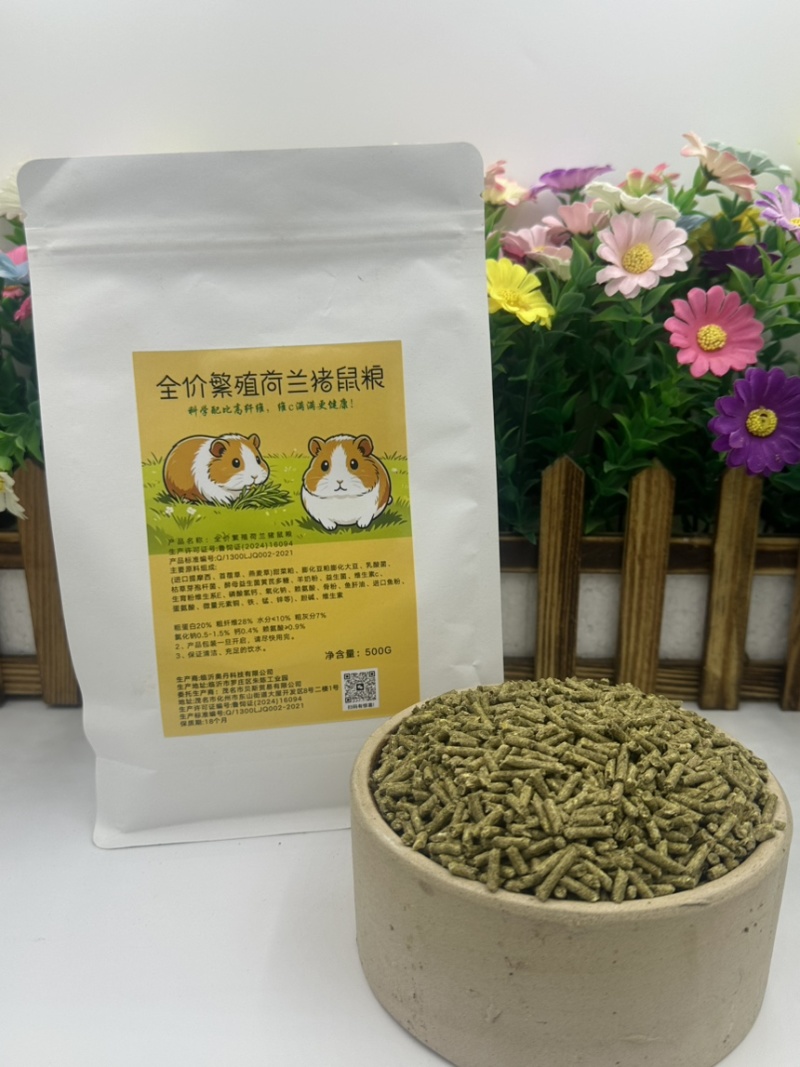 荷兰猪养殖饲料优质提莫西草营养高