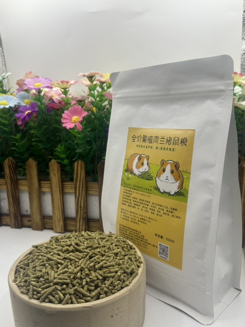 荷兰猪养殖饲料优质提莫西草营养高