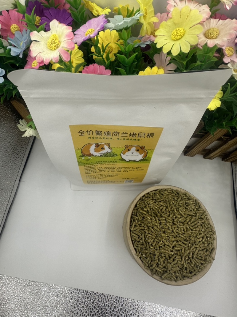 荷兰猪养殖饲料优质提莫西草营养高