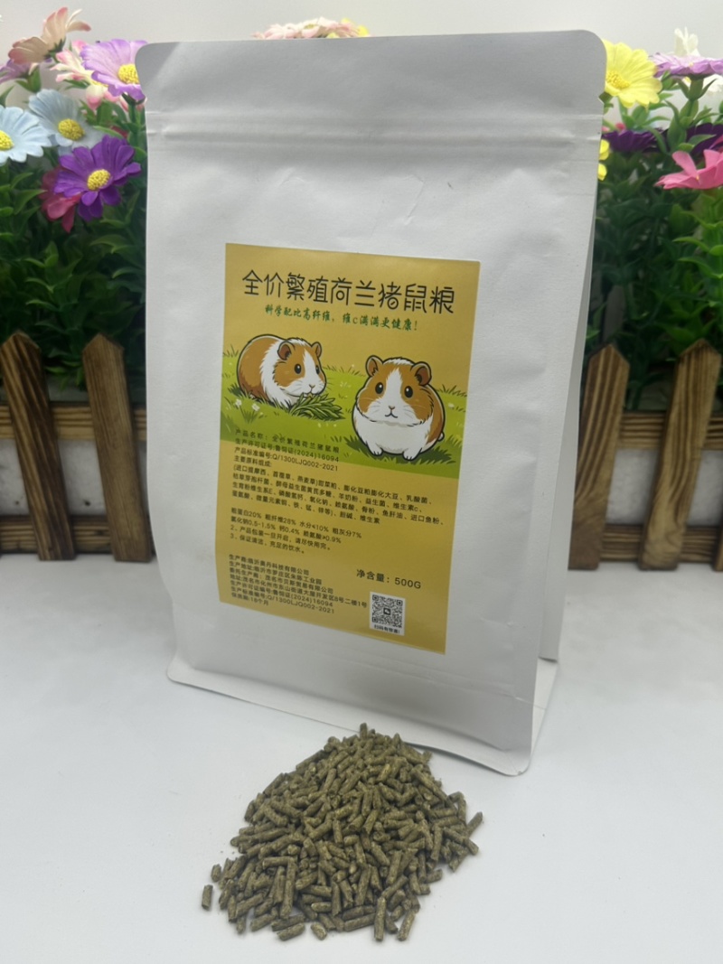 荷兰猪养殖饲料优质提莫西草营养高