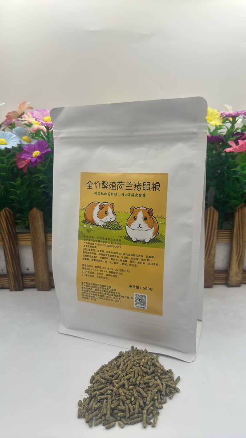 荷兰猪养殖饲料优质提莫西草营养高