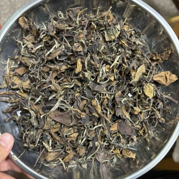 福鼎太姥山老白茶枣香味足回甘好越陈越香可收藏