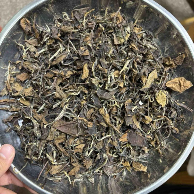 福鼎太姥山老白茶枣香味足回甘好越陈越香可收藏