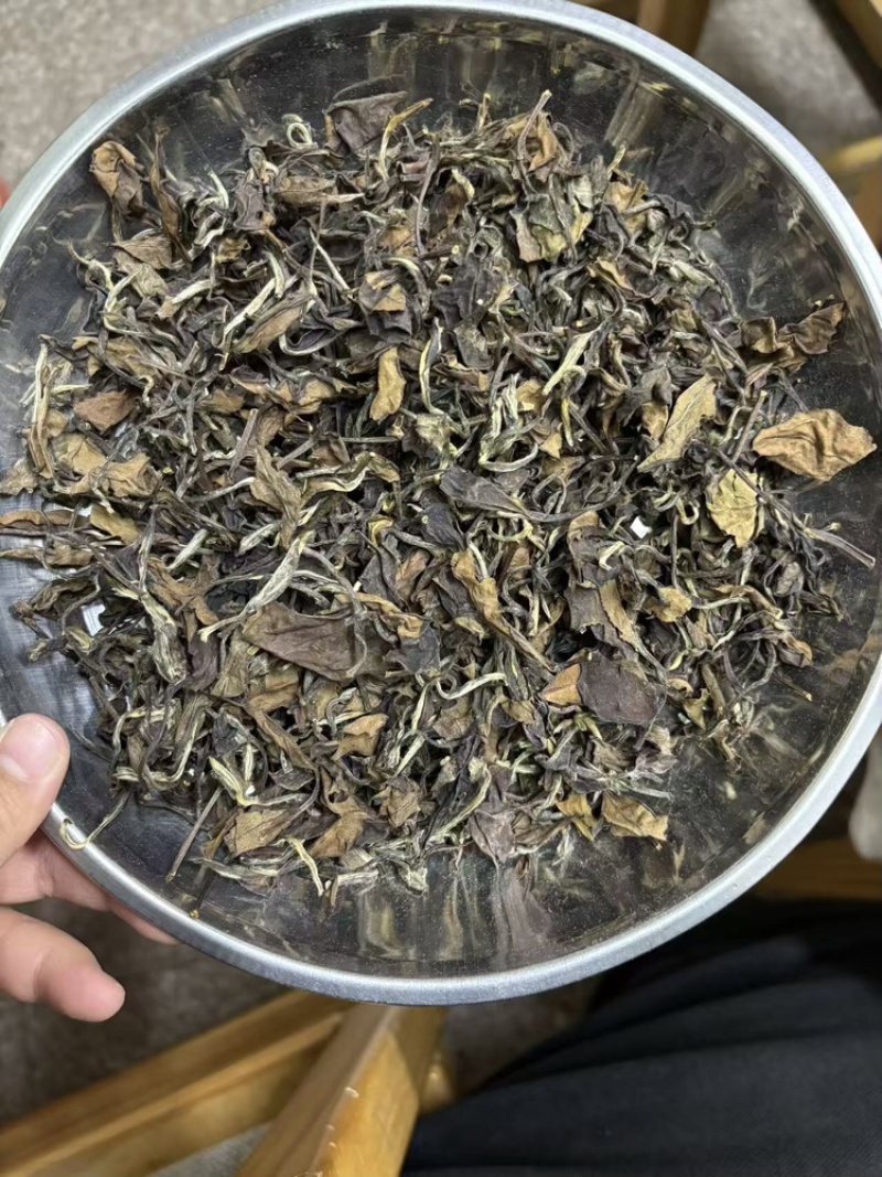 福鼎太姥山老白茶枣香味足回甘好越陈越香可收藏