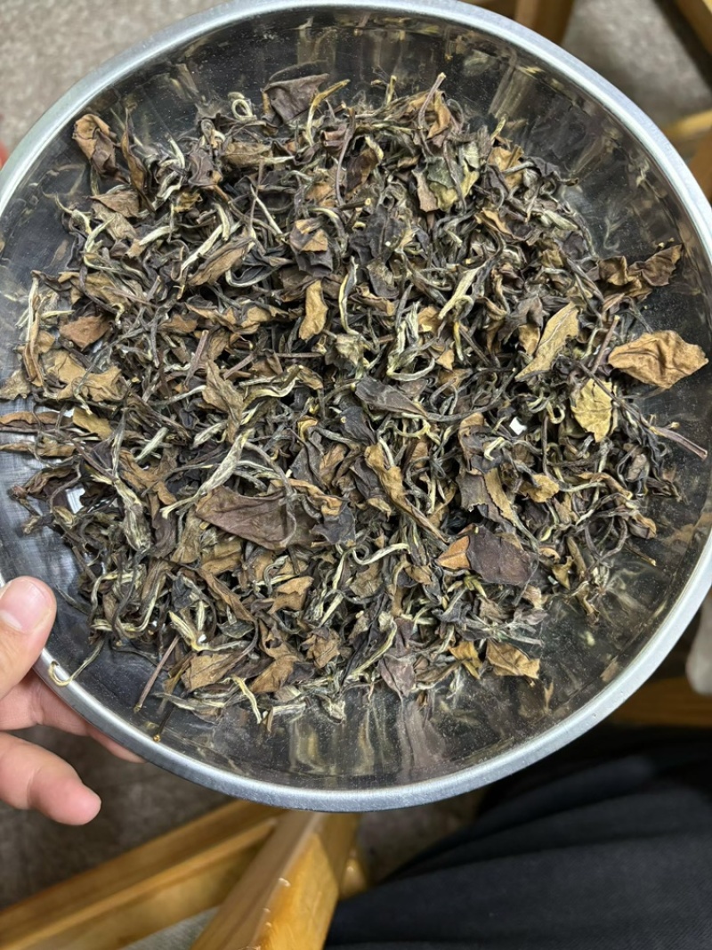 福鼎太姥山老白茶枣香味足回甘好越陈越香可收藏