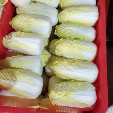娃娃菜，有货300亩，3000吨，需要的大老板来谈