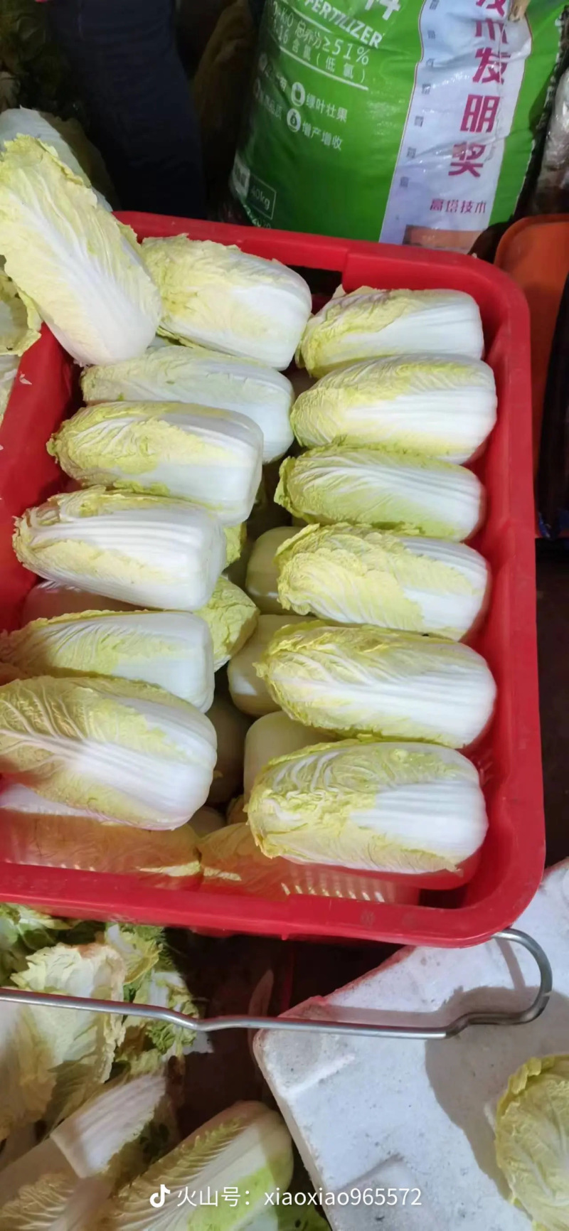 娃娃菜，有货300亩，3000吨，需要的大老板来谈