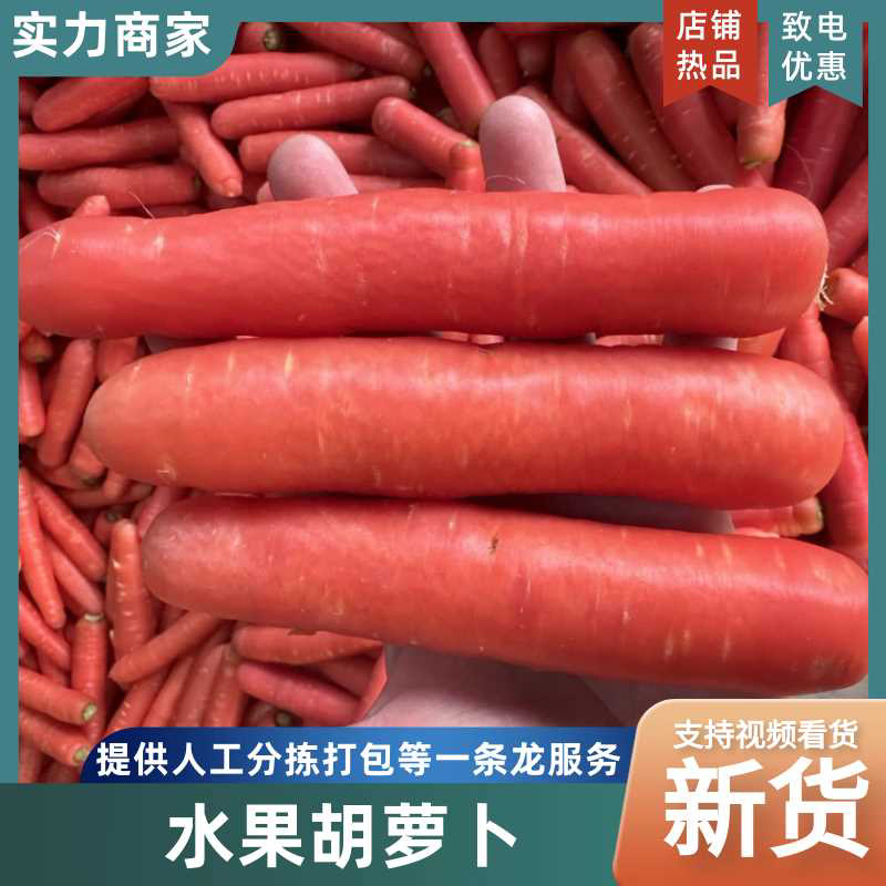 精品红萝卜胡萝卜供养殖厂加工厂有水洗萝卜和土萝卜直发