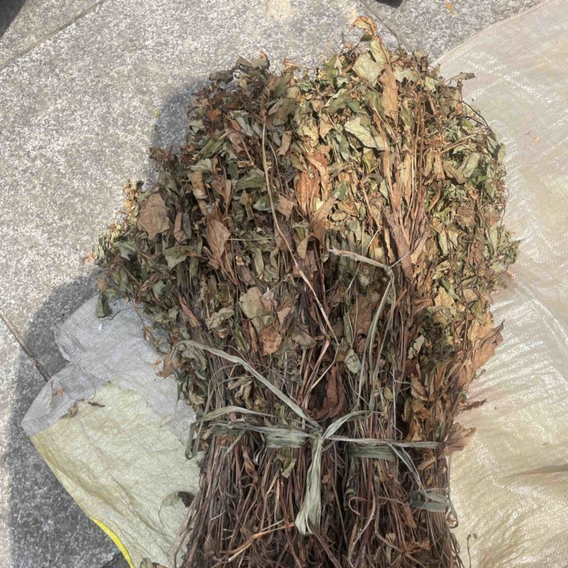 野生鱼腥草，红茎，自然晒干，欢迎各位老板下单。