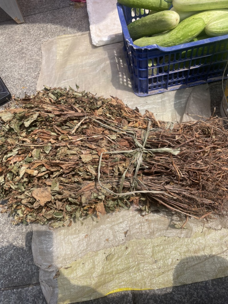 野生鱼腥草，红茎，自然晒干，欢迎各位老板下单。