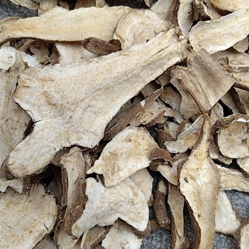 白术生切片子