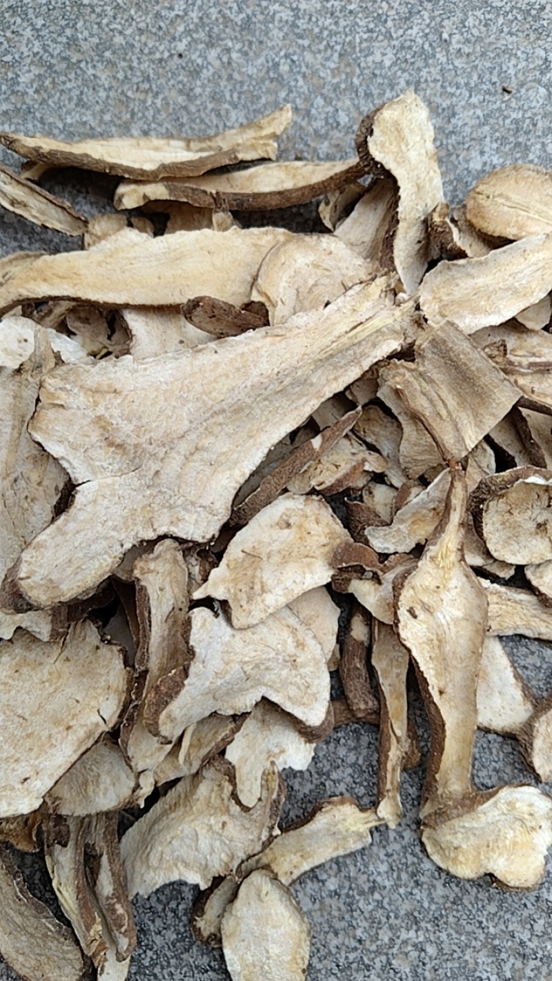 白术生切片子