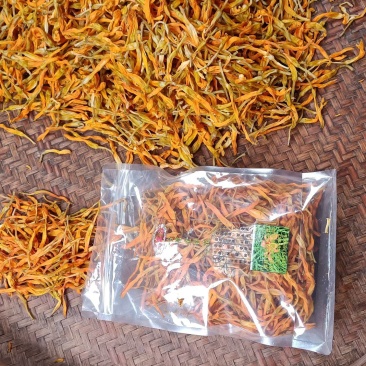台湾黄花菜