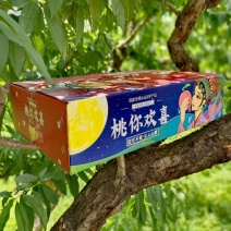 【批量代发】山东蒙阴黄金油桃中油四号脆甜多汁产地直发